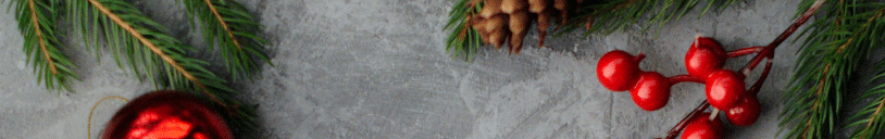 christmas-hub-discount-codes