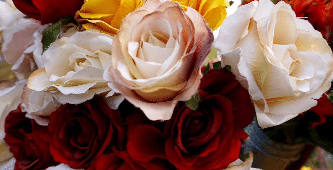 Freddie's Flowers