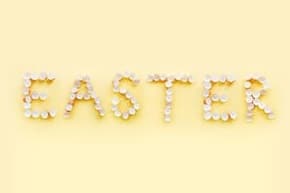 budgey-discount-codes_2